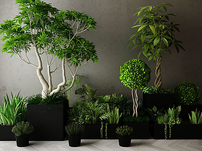 现代装饰植物3d模型