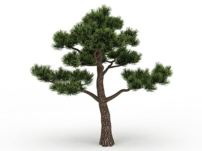 3d针叶松树免费模型