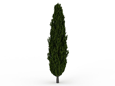 景观松树模型3d模型