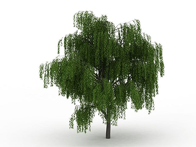 3d柳树免费模型