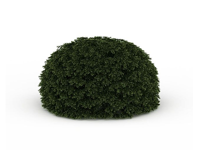 景观绿化树模型3d模型