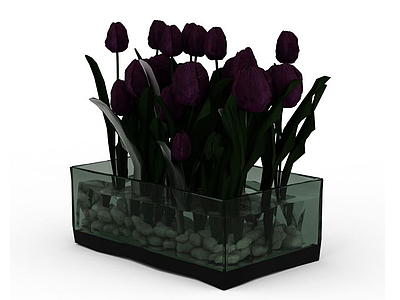 3d水生植物盆景免费模型