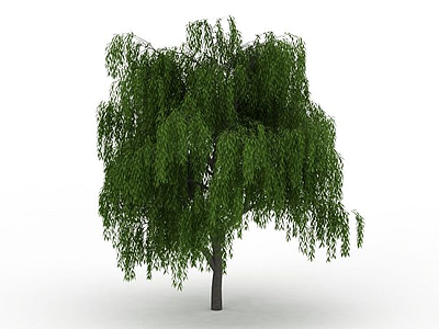 公园柳树模型3d模型