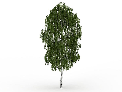 室外柳树模型3d模型