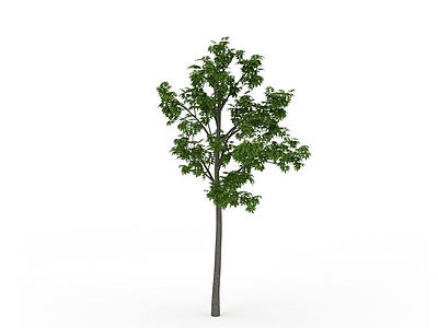 3d景观装饰树免费模型