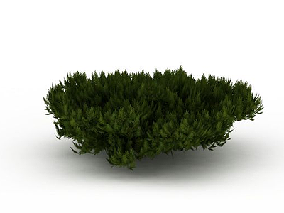 园林柏树模型