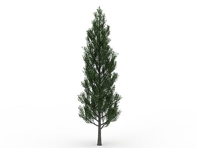 装饰树模型3d模型