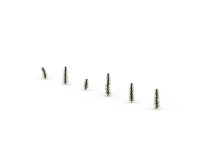 蕨叶小草模型