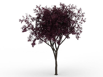 3d红叶景观树模型