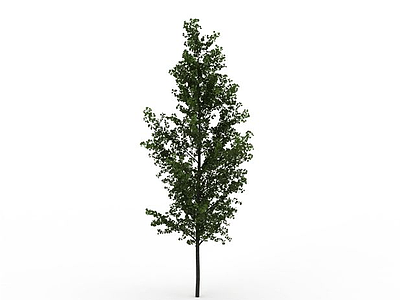 3d绿叶观赏树免费模型