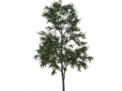 3d绿色景观树木模型