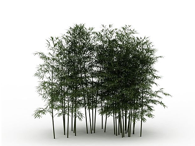 3d公园小树林模型