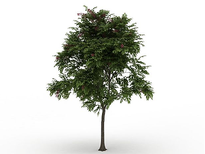 落叶景观树模型3d模型