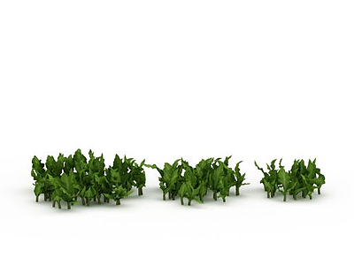 3d绿叶植物免费模型