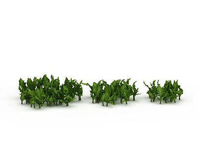 田园绿色植物模型