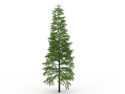 园林绿树模型3d模型