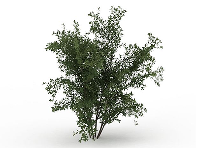 3d绿叶景观树免费模型