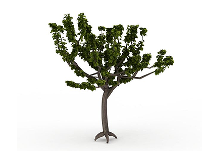 3d分枝型树木免费模型