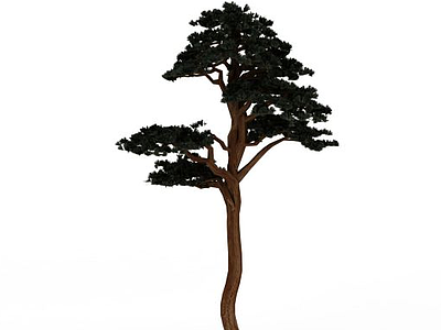 公园绿色观赏树模型3d模型