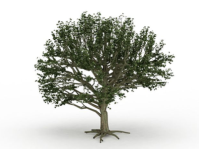 3d绿色观赏树免费模型