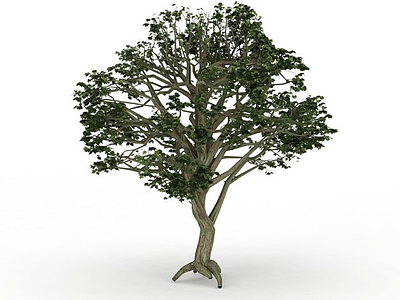3d绿色观赏树木免费模型
