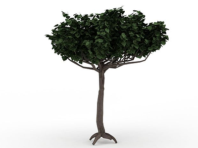 绿色观赏植被模型3d模型