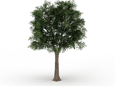 3d庭院绿树免费模型