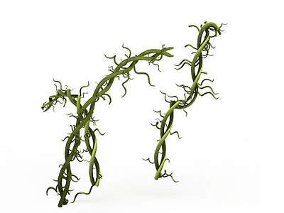 藤蔓植物模型3d模型