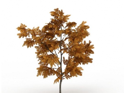 3d黄叶树模型