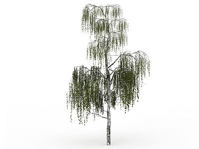 绿化树模型