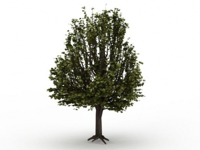 公园绿色树木模型3d模型