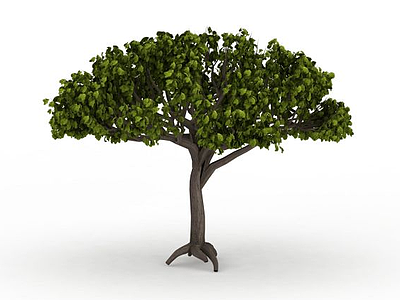绿色树木模型3d模型