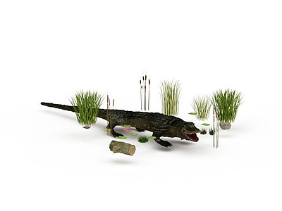 鳄鱼模型3d模型