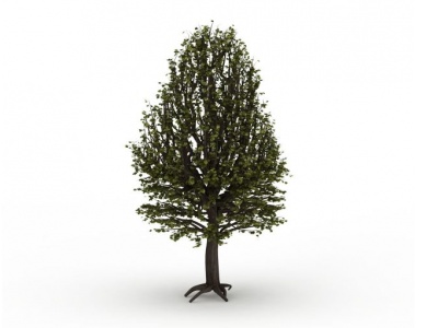 3d园林绿树模型