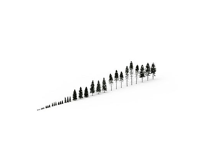 一排冷杉树模型