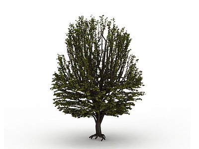 草地绿树模型3d模型