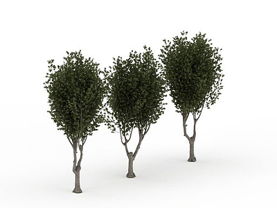 3d<font class='myIsRed'>绿色树木</font>免费模型