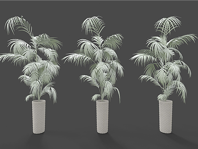 现代装饰植物模型3d模型