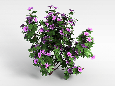 3d紫色花模型