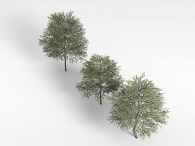 树木模型3d模型