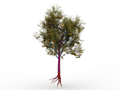 3d树木免费模型