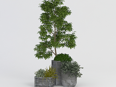 3d装饰绿植免费模型