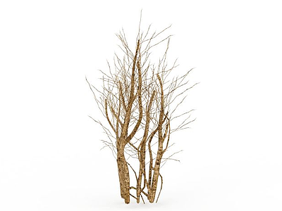 枯树模型3d模型