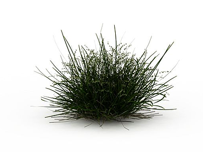 3d绿色植物免费模型
