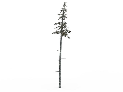 3d冬树免费模型