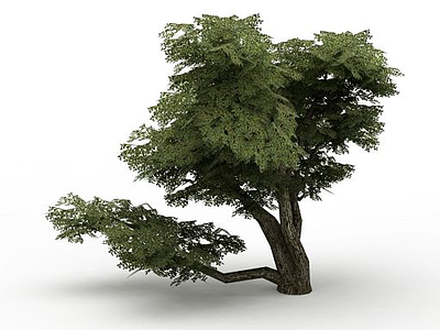 公园装饰树模型3d模型
