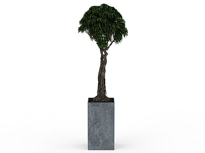 3d 装饰树免费模型