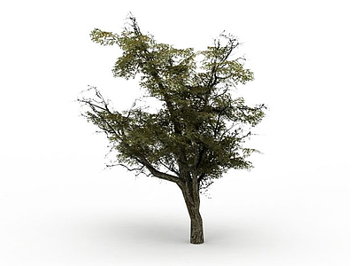 3d游戏场景树木模型