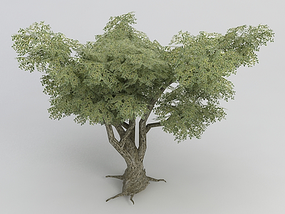 3d绿色植物树模型