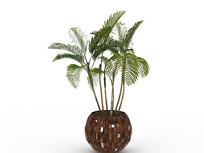 3d办公室袖珍椰子树免费模型